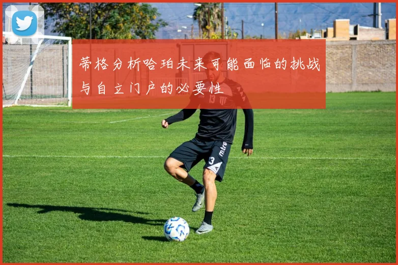 蒂格分析哈珀未来可能面临的挑战与自立门户的必要性