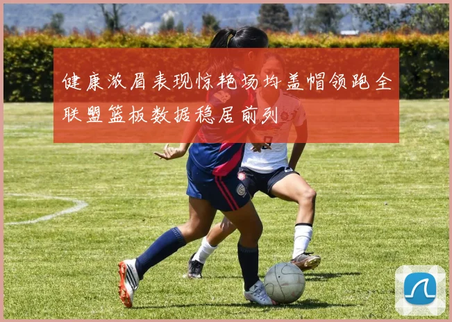 健康浓眉表现惊艳场均盖帽领跑全联盟篮板数据稳居前列